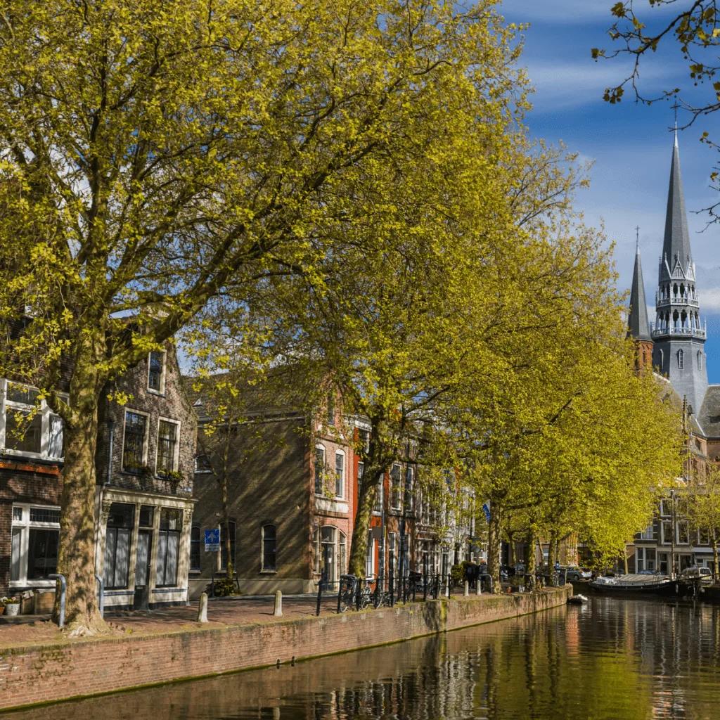 Bomen zijn Belangrijk